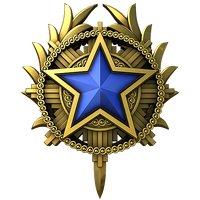 Медаль за службу в 2020 3-го уровня