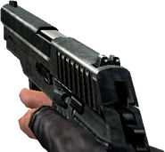P228 cscz.png (87 kB) Versión del Counter-Strike: Condition Zero en uso