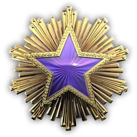 Медаль за службу у 2016 4-го рівня