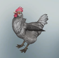 1620130342 grey-chicken.png (96 КБ) Серая курица