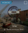 Iris icon