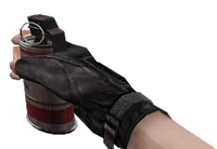 Вид от 1-го лица