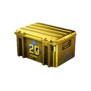 Кейс «CS20»