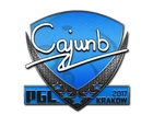 cajunb