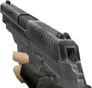 P228.png (84 kB) Versión del Counter-Strike en uso