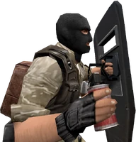 Вид от 3-го лица с тактическим щитом