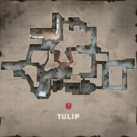 Мапа Tulip