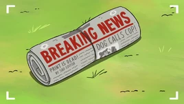 Breaking News title card