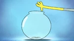Three coins in jar