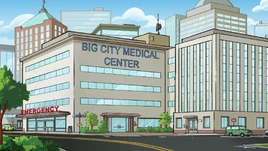 Big City Medical Center - Cricketsitter