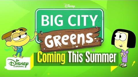 Meet the Greens Big City Greens Disney Channel