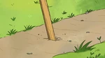 Sign placed in the dirt