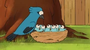 The birds are back with the right person, or bird.