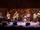 The Mowgli's