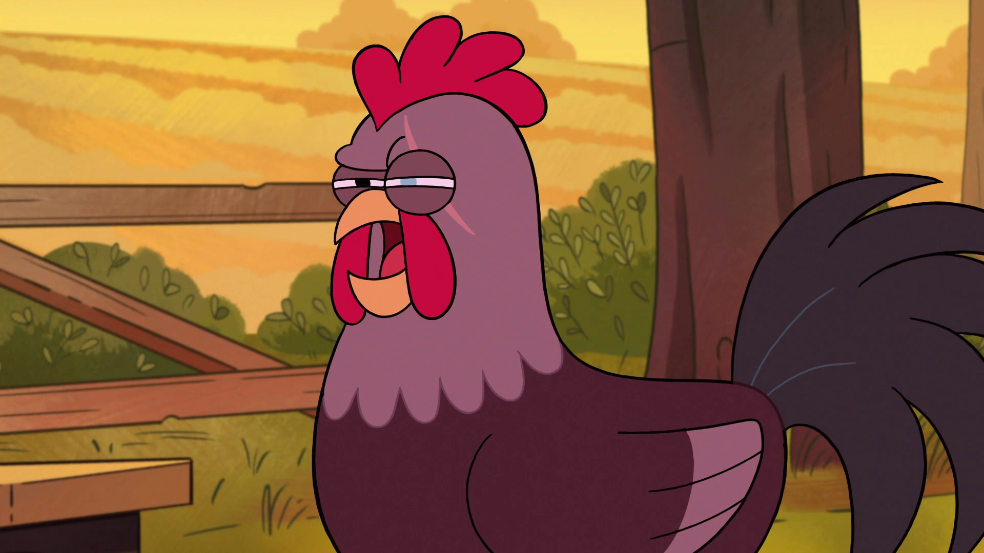 Do Chickens Need a Rooster to Lay Eggs? The Truth Behind 12 Common Chicken  Myths | Small Pet Select Blogs | Small Pet Select, image size:1920x1080