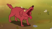 Homeward Hound