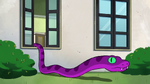 Snakey escapes into the courtyard