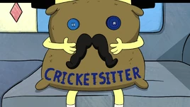 Cricketsitter title card