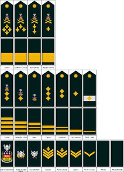 Quebec Armed Forces ranks and insignia | Country Creator Wiki | Fandom