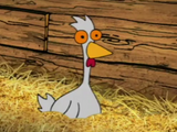 Chickens
