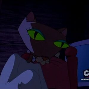 The Mask Courage The Cowardly Dog Fandom In which we are (or try to be) very philosophical people. the mask courage the cowardly dog