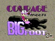 Couragebigfoot