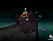 Dr. Vindaloo Elephant