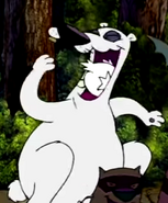 The Polar Bear shoving a chicken in his mouth.