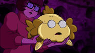 Fish Muriel