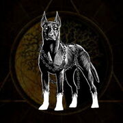 Barghest