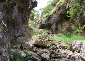 Trollers Gill