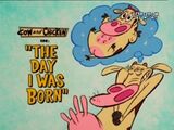 The Day I Was Born