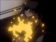 53D73CF53E6EE40033.jpg (84 KB)