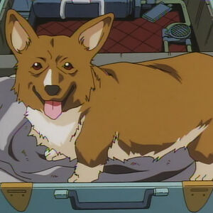 Ein Cowboy Bebop Wiki Fandom