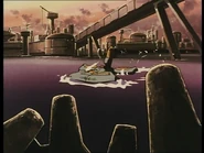 Hammer Head im Wasser