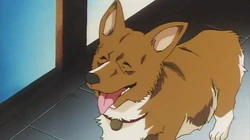 Ein Cowboy Bebop Wiki Fandom