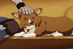 Ein Cowboy Bebop Wiki Fandom