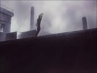 53DC7253385EC70036.jpg (74 KB)