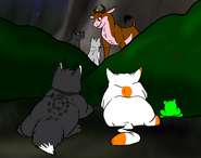 "We got back just in time!"