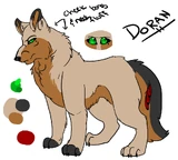 Doran Reference.png (384 KB)