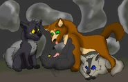 Czar, Kong, and Sokka's newest designs