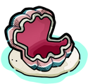 Pink and blue clam gives quartz and hardwood.