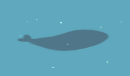 The shadow of a middling lazy fish.