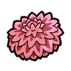 Dahlia (Exotic)