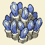 Giant Anemone