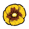 Poppy