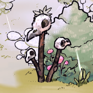 Three skulls tied to stakes