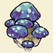 Russula Mushroom
