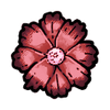 Aster (Hybrid)