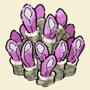 Giant Anemone